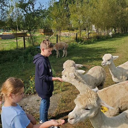 Dartmoor Reach Alpaca Farm Heated Cabins 5 Mins Drive To Dartmoor Bovey Tracey Exterior photo
