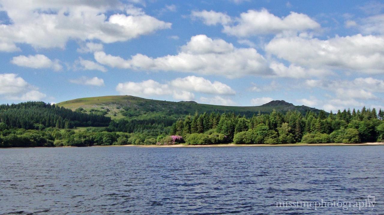 Dartmoor Reach Alpaca Farm Heated Cabins 5 Mins Drive To Dartmoor Bovey Tracey Exterior photo