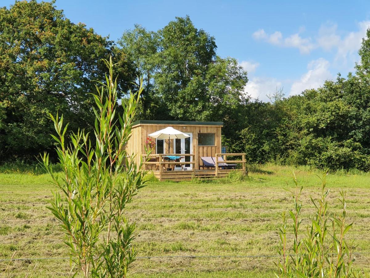 Dartmoor Reach Alpaca Farm Heated Cabins 5 Mins Drive To Dartmoor Bovey Tracey Exterior photo