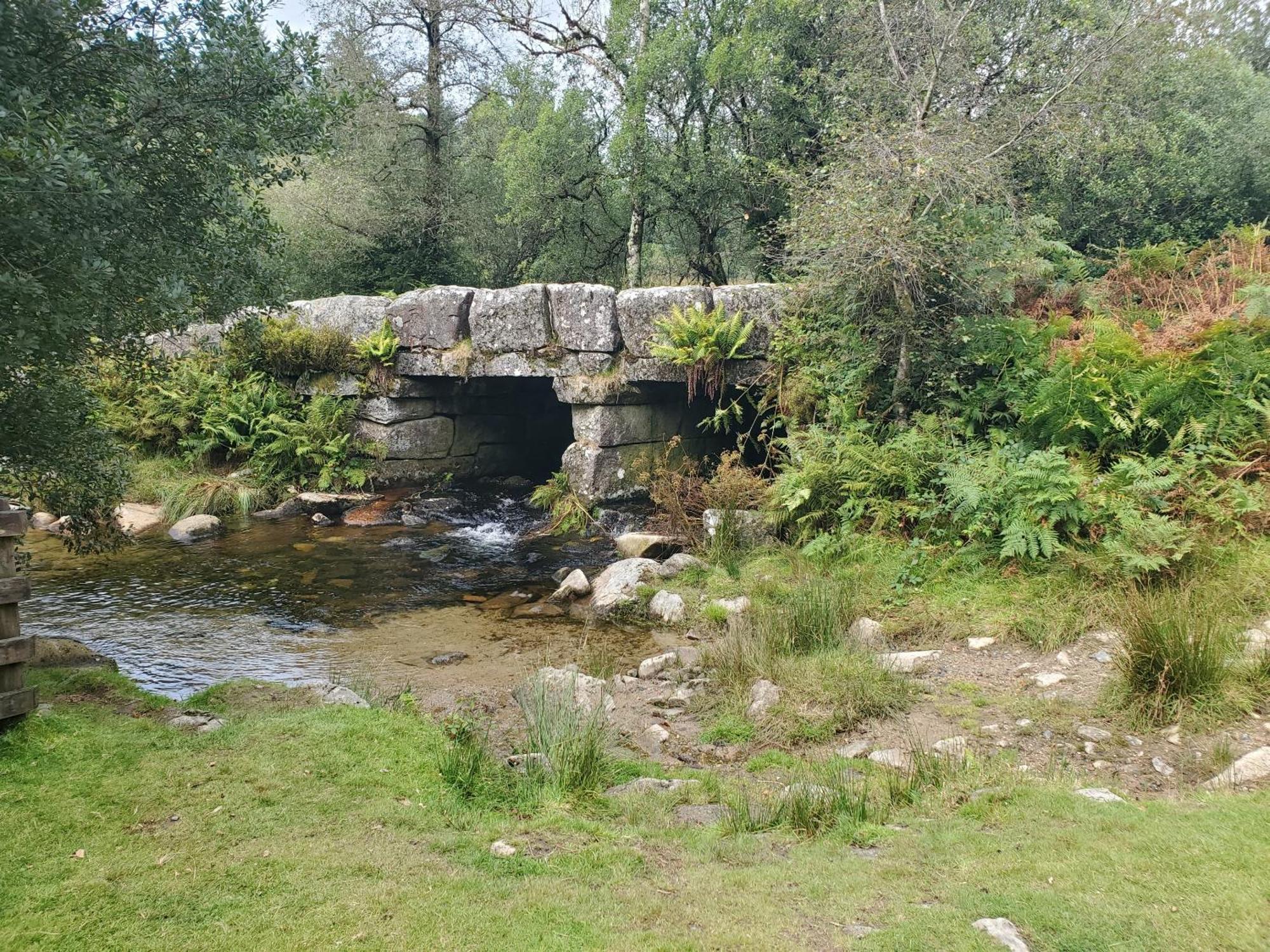 Dartmoor Reach Alpaca Farm Heated Cabins 5 Mins Drive To Dartmoor Bovey Tracey Exterior photo